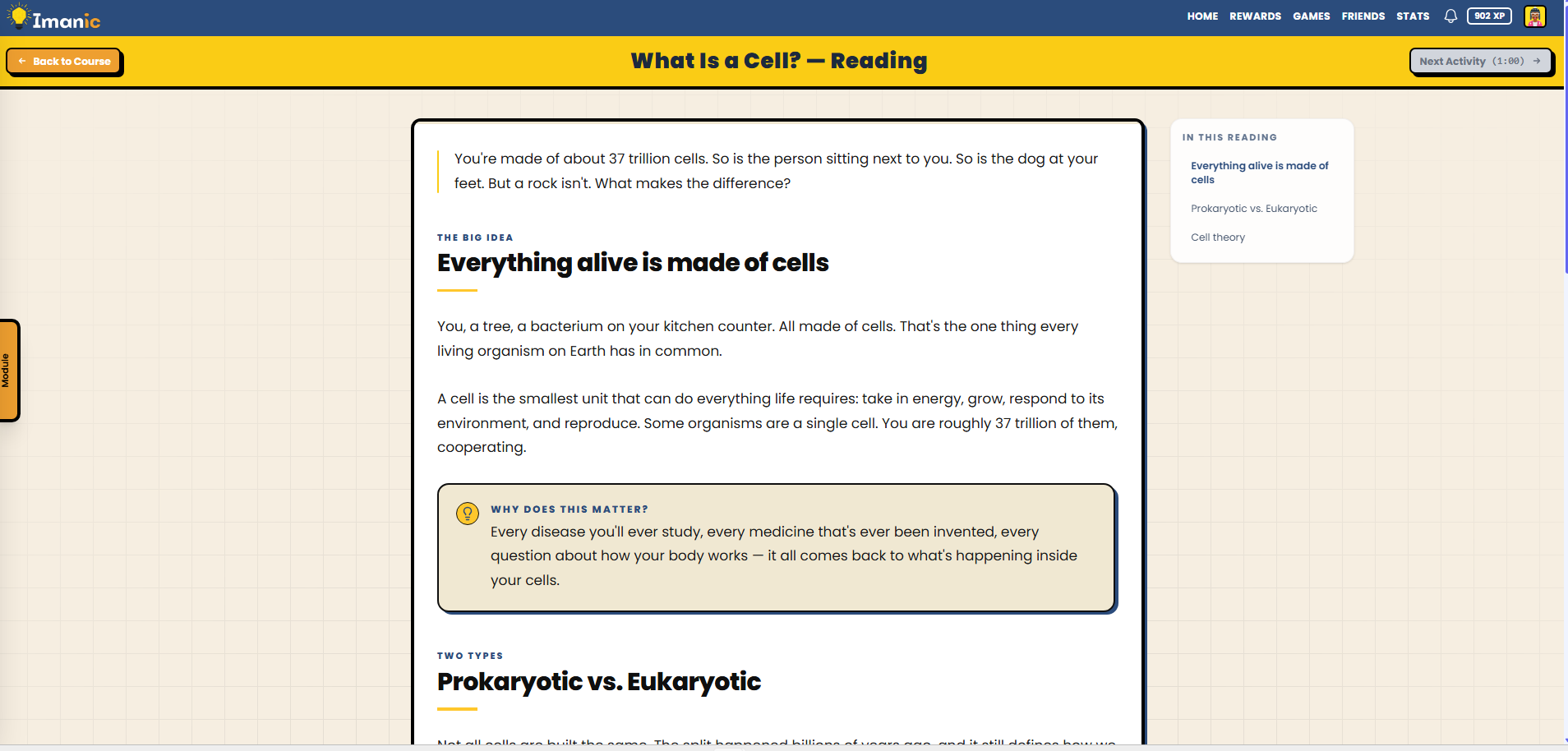 Interactive reading activity with rich content blocks